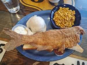 parkview inn catfish pic