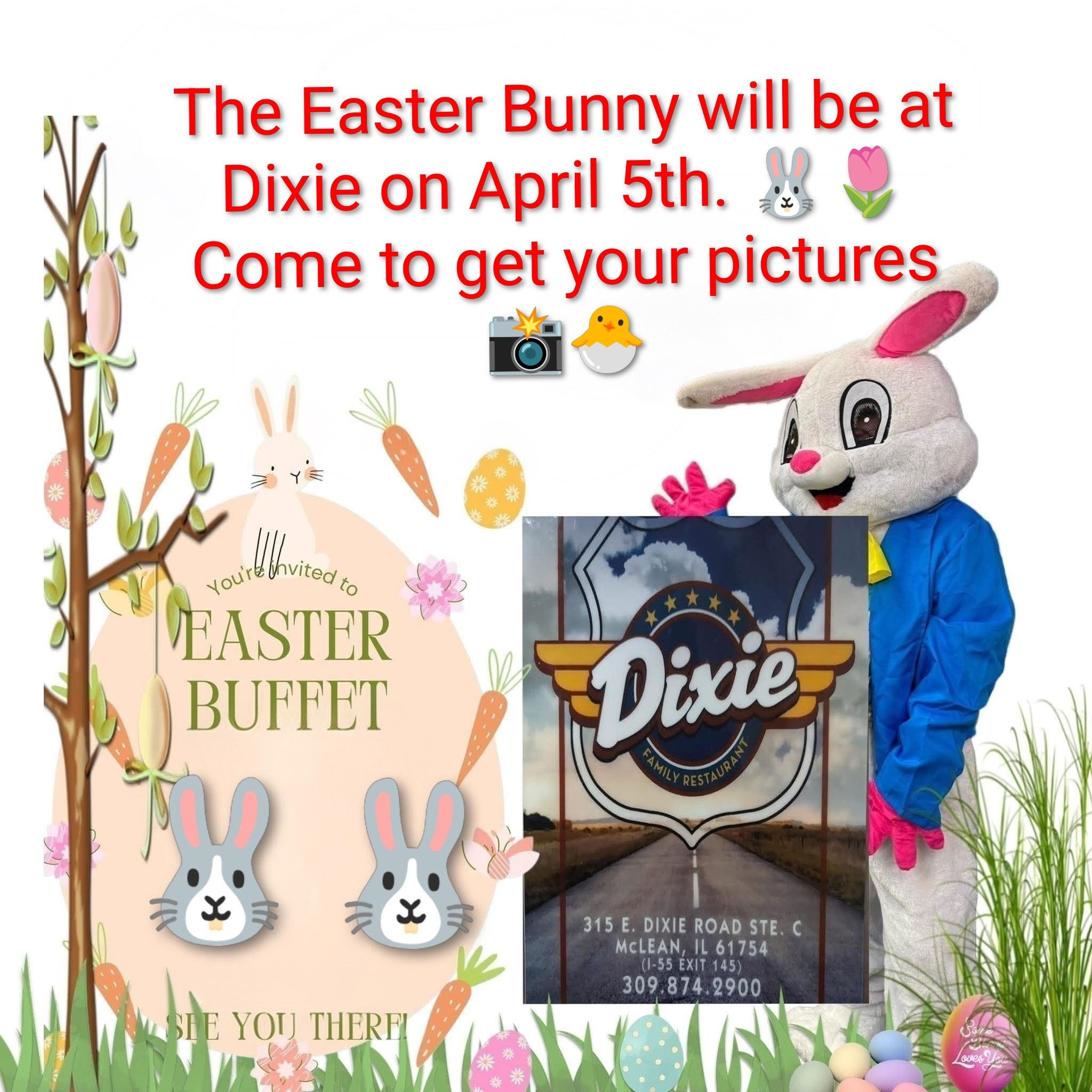 eASTER BUNNY - DIXIE