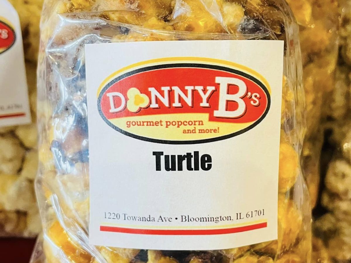 donny-bs-turtle.jpg