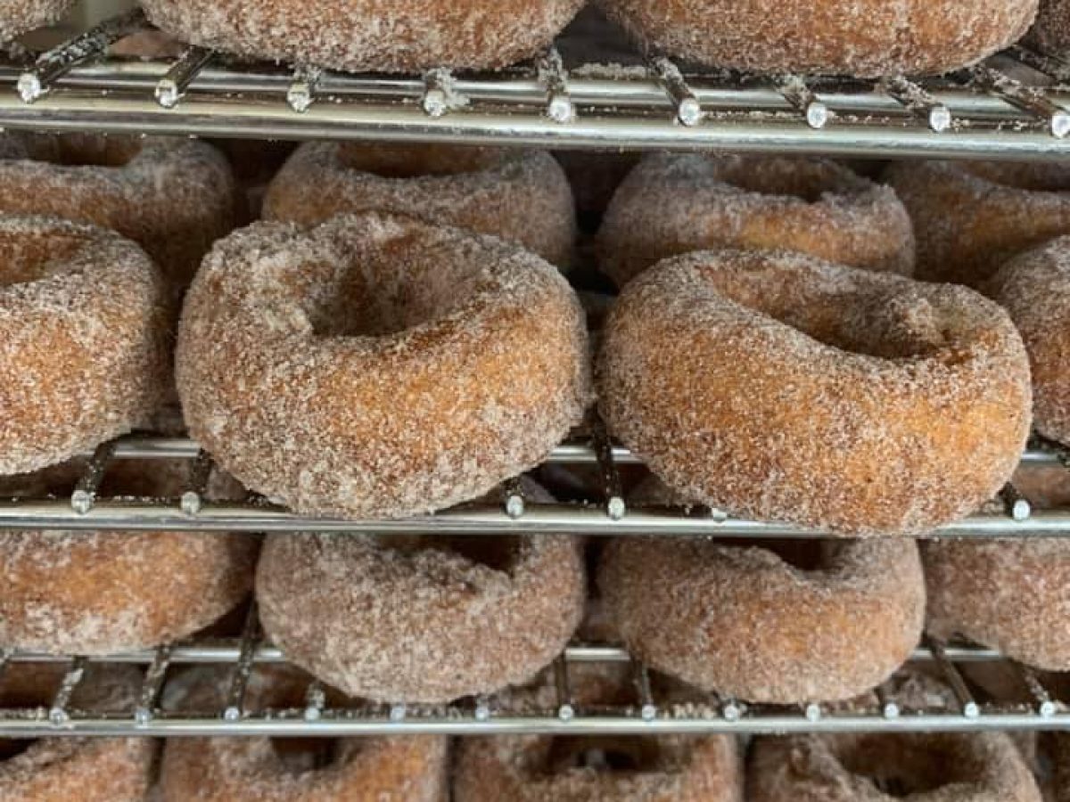 pumpkin-donuts.jpg