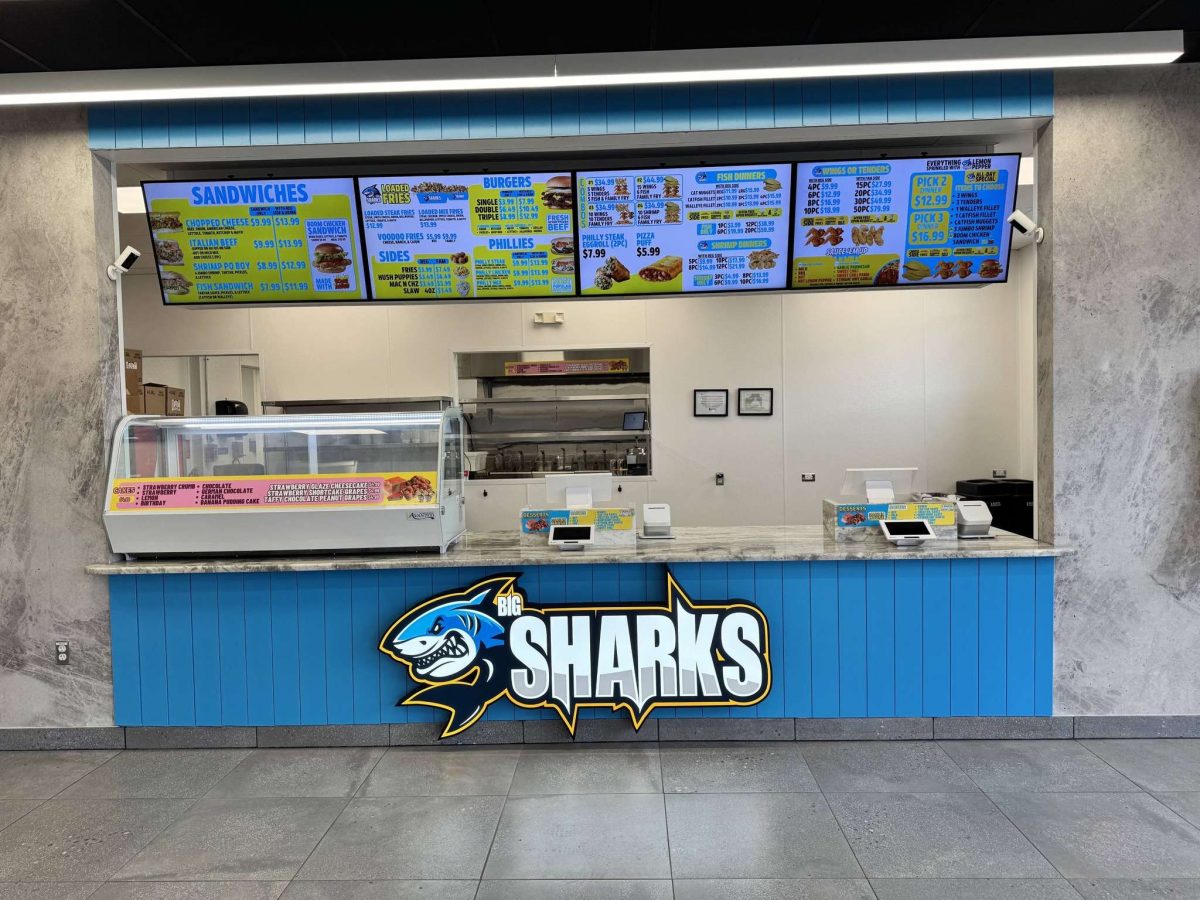 sharks interior 2