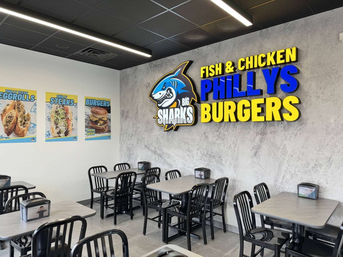 sharks interior 4