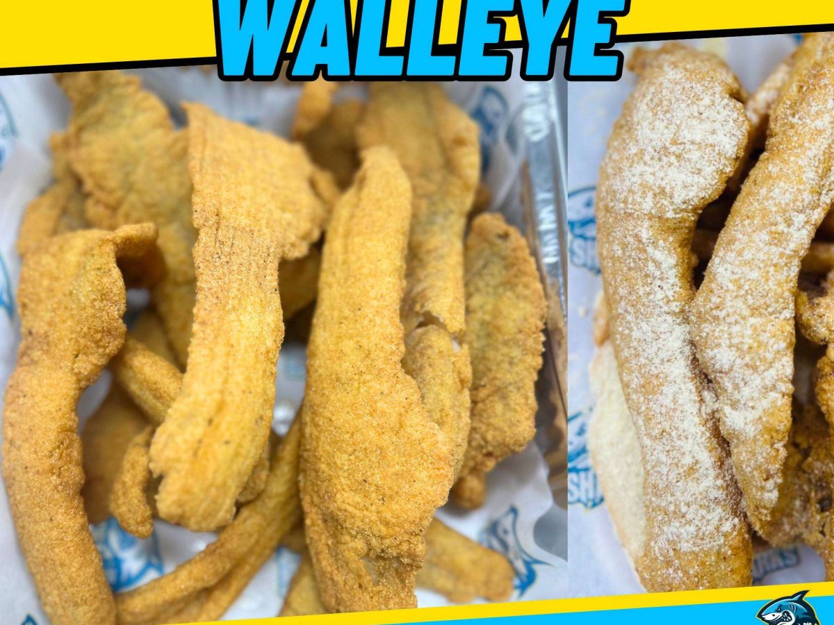 sharks walleye